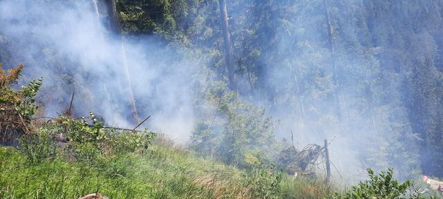 Foto: BFVMZ