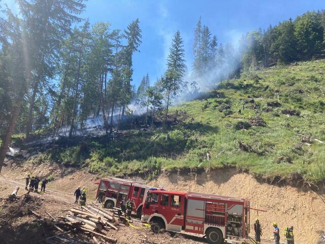 Waldbrand in Neuberg an der Mürz: In einem Wald zwischen Kohleben und Kapellen ist ein Brand ausgebrochen – derzeit sind rund 1,5 Hektar betroffen. | Foto: BFVMZ