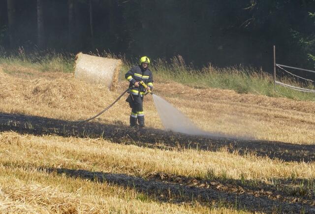 Einen Flurbrand musste die Feuerwehr in Edlach löschen. | Foto: Doku NÖ