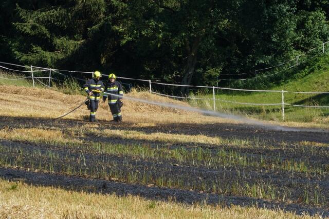 Einen Flurbrand musste die Feuerwehr in Edlach löschen. | Foto: Doku NÖ