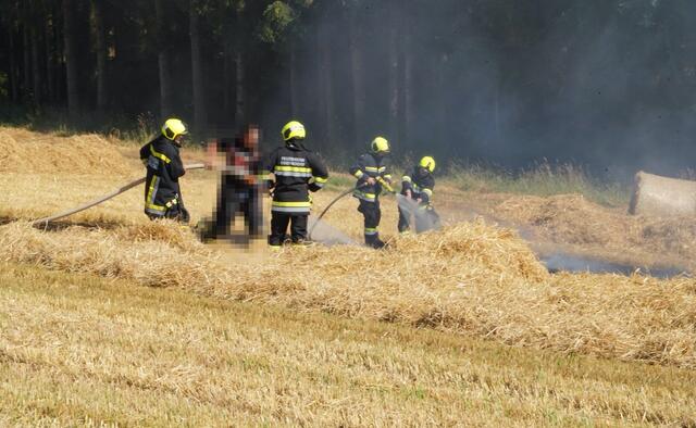 Einen Flurbrand musste die Feuerwehr in Edlach löschen. | Foto: Doku NÖ