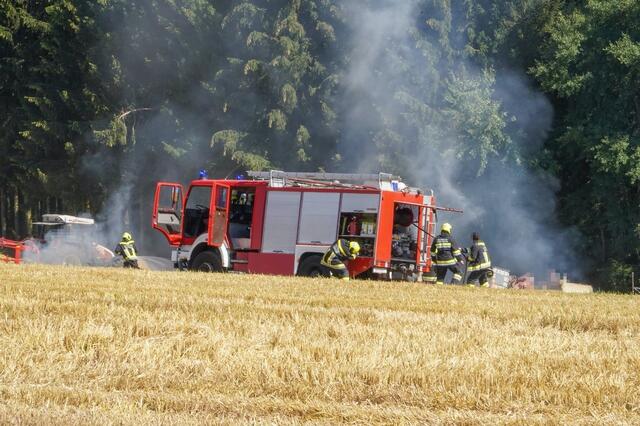 Einen Flurbrand musste die Feuerwehr in Edlach löschen. | Foto: Doku NÖ