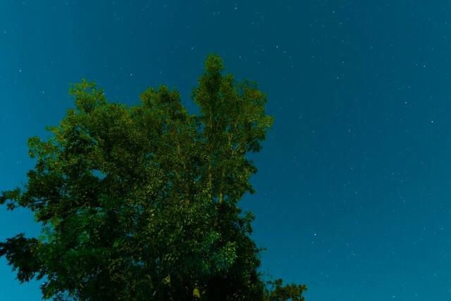 Heute Nacht sollte die Sicht klar sein | Foto: Nathan Anderson - Unsplash