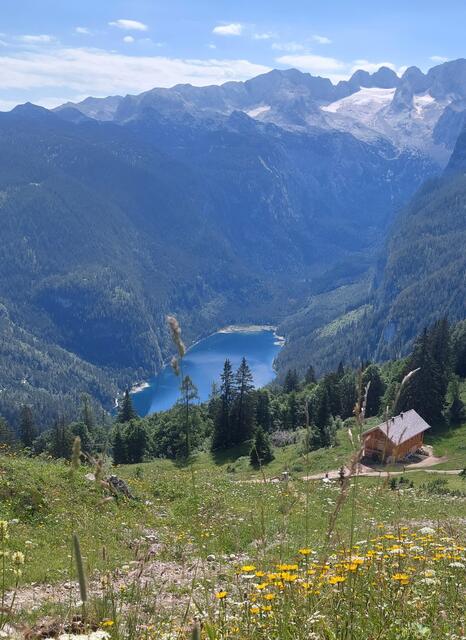 Herrlicher Blick zum Gosausee und Dachsteingletscher | Foto: Sylvia Schober