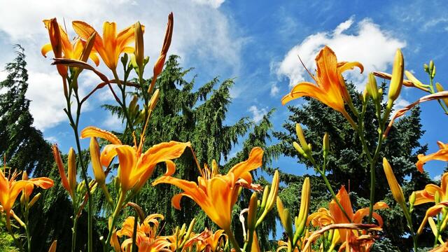 Auf Wiedersehen &amp; bis zum nächsten Mal! | Foto: S.Plischek