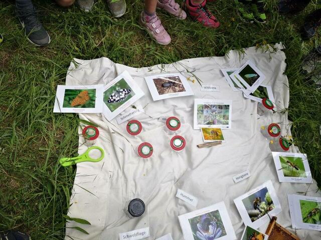 Im Naturpark Sölktäler waren die Kinder mit zahlreichen Aktionen im Einsatz.
 | Foto: Naturpark Sölktäler