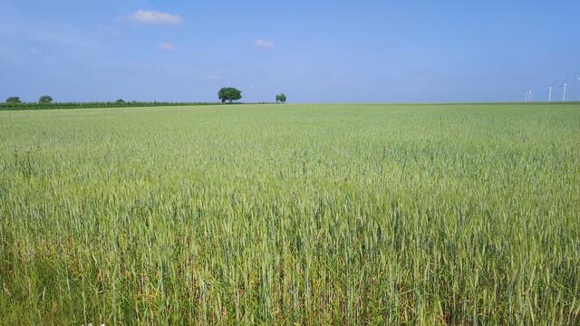 Kraft schöpfen, als gäbe es nichts was einen in Unruhe bringen könnte. Der beste Doktor ist die Natur.