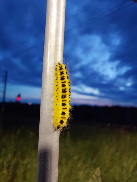 Was man nicht alles entdeckt um 4 Uhr beim Warten auf den Zug.