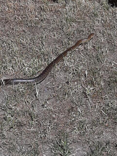 Schlosspark-Aktivitäten | Foto: MJT'75