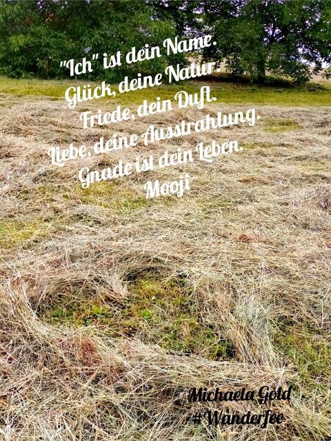 "Ich" ist dein Name.
Glück, deine Natur. 
Friede, dein Duft. 
Liebe, deine Ausstrahlung. 
Gnade ist dein Leben. 
Mooji