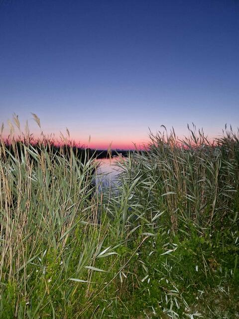 Bei Illmitz! | Foto: Selbst fotografiert