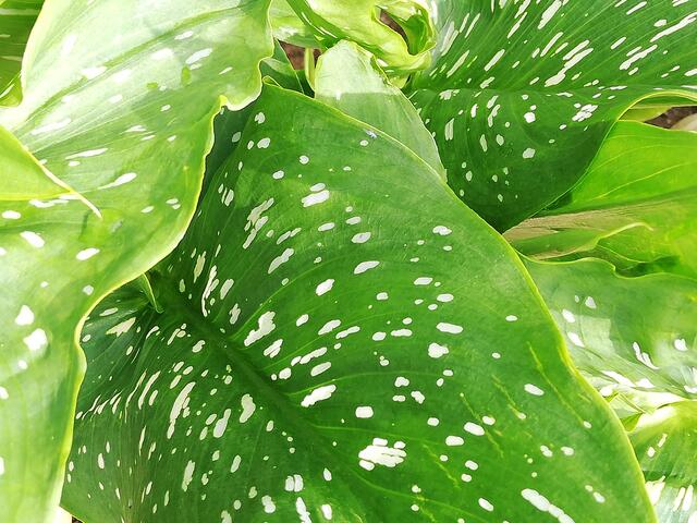 Foto: Elisabeth Paukovitsch