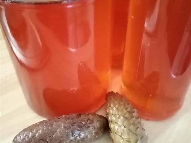 Sirup aus Fichtenzapfen? Schmeckt das? Ohjaa😋 Hier gibt esTipps 