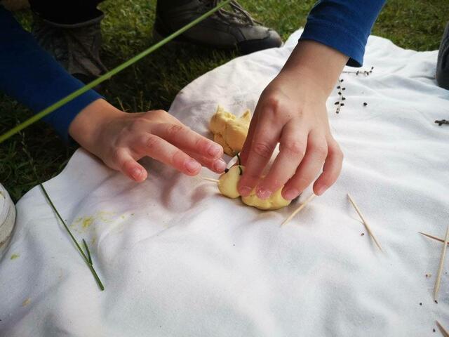 Foto: Naturpark Sölktäler