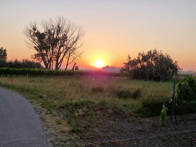 Sonnenaufgang! | Foto: Selbst fotografiert