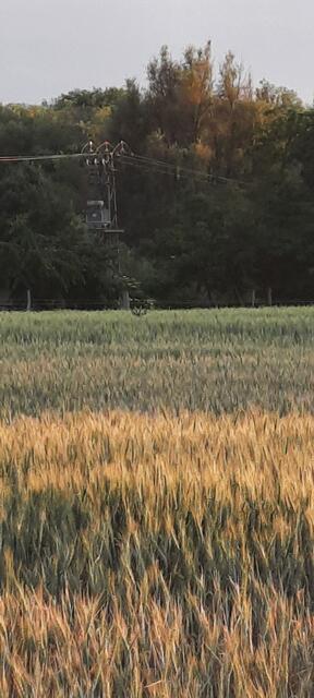 Ui, wer versteckt sich denn da vor mir😅