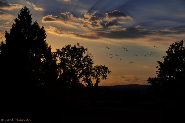 Die letzten Minuten des Tages im ruhigen Garten genießen. 