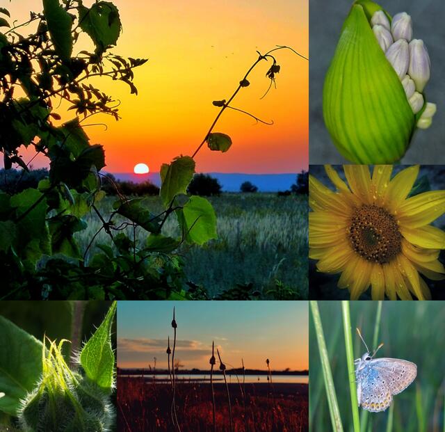 Ich wünsche euch eine schöne,  neue, gesunde Woche!
@renatahfotografie 