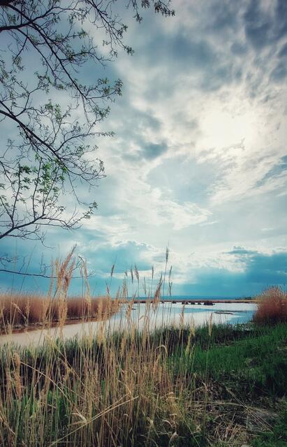 Nationalpark - Illmitz 
@renatahfotografie 
