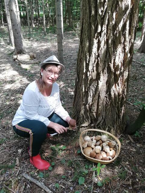 Bei idealem Wetter findet man zur Freude der Familie auch,, Schwammerln".  | Foto: Willibald Paukovitsch