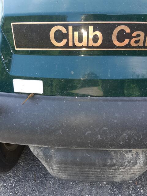 Neue Libelle "club car"-Libelle | Foto: MJT'75