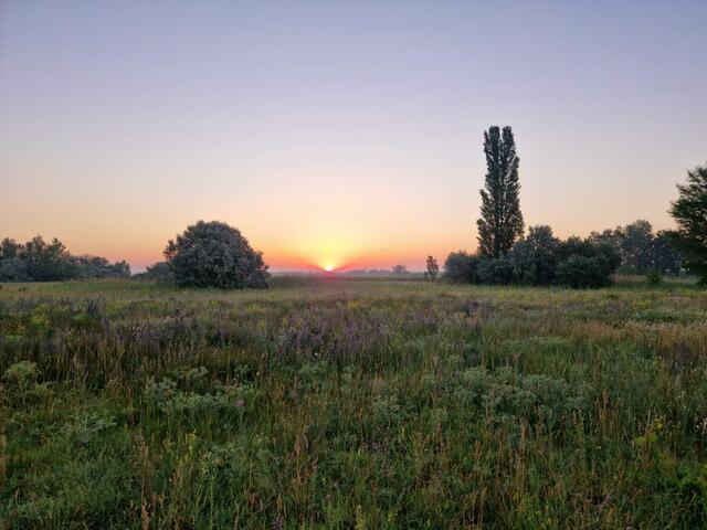In den Morgenstunden! | Foto: Selbst fotografiert