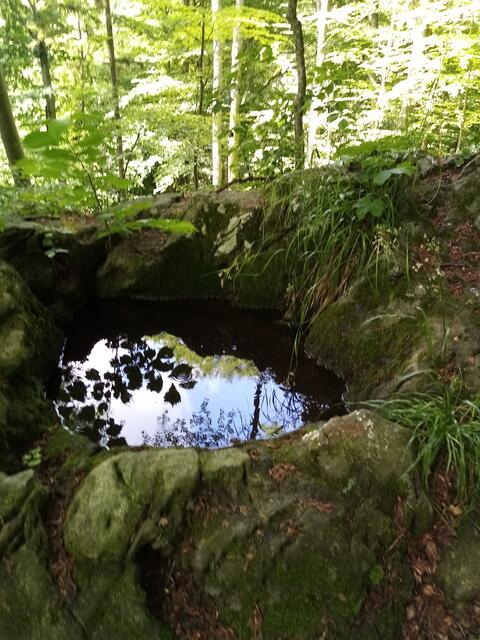 Wasserschale in der Buckligen Welt - wo sich die wohl befindet? Im Waldviertel gibt es solche Phänomene sehr oft.  hier gehts zur Auflösung 