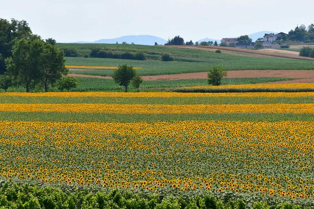 Die Bauern sind auch unsere Landschaftsgärtner.