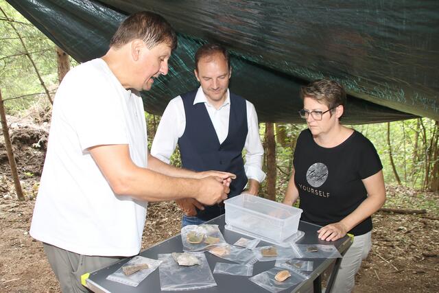 Foto: Fotos: Walpoth