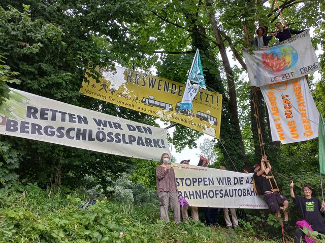 Mit einer Baumplattform machen die "Initiative Verkehrswende, jetzt!", die Linzer Baumrettungsinitiative sowie Extinction Rebellion OÖ auf die drohende Zerstörung des Bergschlösslparks durch den geplanten Bau des "Westring-Tunnels" aufmerksam.