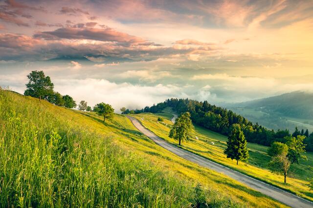 Auf den Magdalensberg hinauf – der Ausblick lohnt sich.  | Foto: Markus/adobe.stock.com