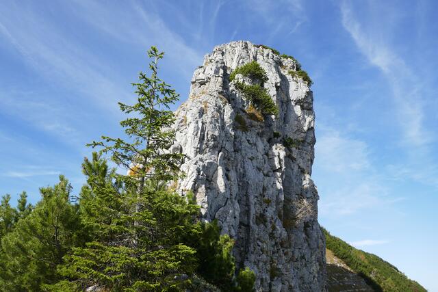 Einer der zwei für den Regenspitz so charakteristischen Felsgendarmen.  | Foto: Thomas Neuhold