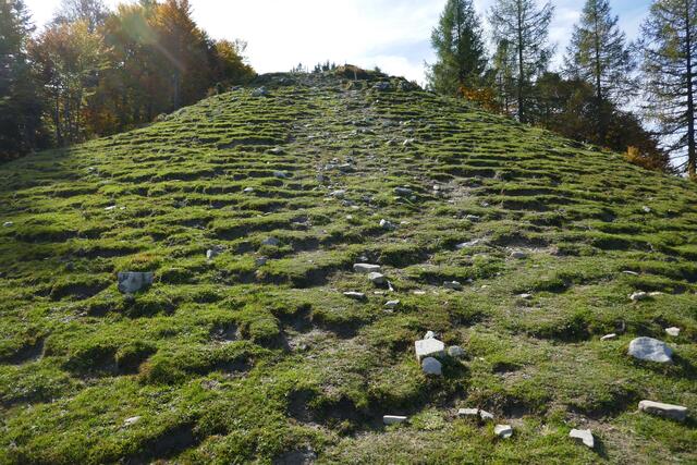 Kunstvolle Geländestruktur am Weg von der Feichtensteinalm zum Regenspitz.  | Foto: Thomas Neuhold