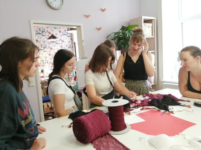 Die HLA-Schülerinne aus Ebensee verbrachten zwei lehrreiche Tage in Wien. | Foto: HLA Ebensee