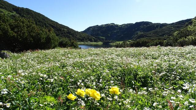 In den kommenden Tagen wird es wieder sommerlich.  | Foto: Franz Reiter