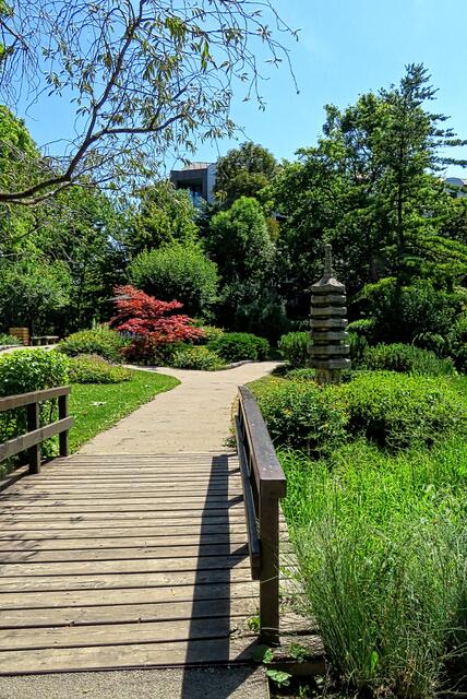 Im Sommer schön, im Herbst schön bunt, aber am beeindruckendsten zur Zeit der Baumblüte.