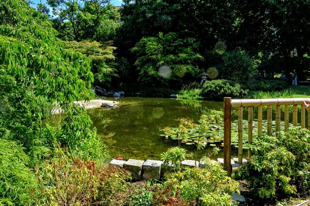 Romantischer Ausblick vom Teehaus aus, im Teich gibt's nicht nur jede Menge verschiedener Fische, sondern auch Schildkröten.