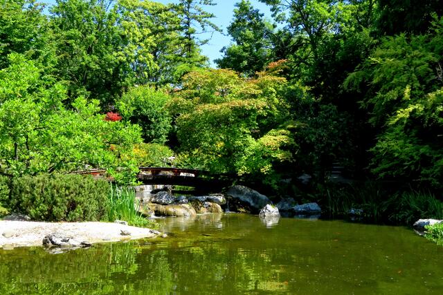 Geschwungene Brücken, ein Wasserfall, spiegelnder Teich...