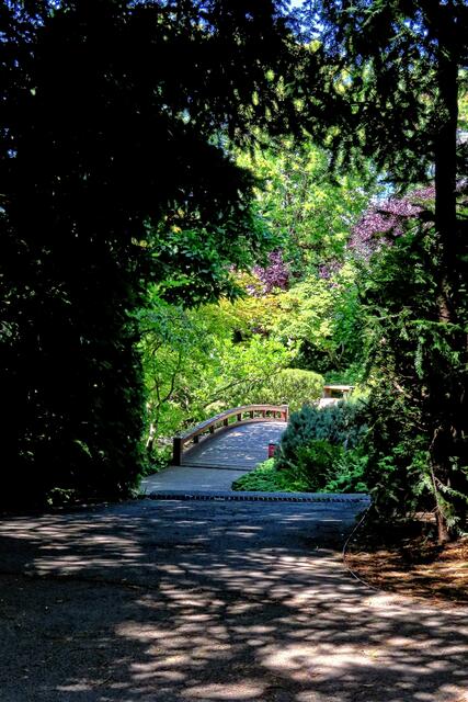 Vom schattigen Rastplatz hinaus in die Sommersonne.
