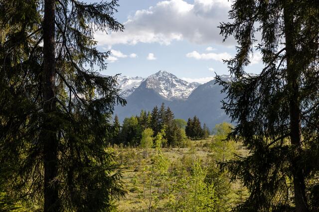 Naturbestattungen werden in Österreich – und auch im Pinzgau – immer beliebter. An dafür vorgesehenen Plätzen (wie hier am Pass Thurn in Mittersill) wird die Asche von Verstorbenen in biologisch abbaubaren Urnen beigesetzt. | Foto: Elisabeth Eder