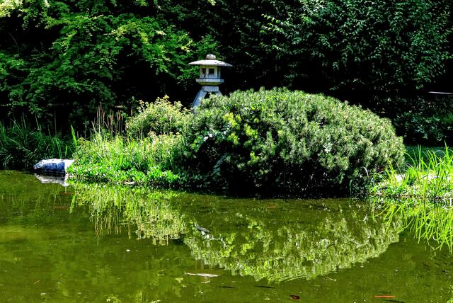 Eine Steinlaterne. Und im hohen Gras quakte laut ein Frosch. Ins Foto wollte er nicht.
