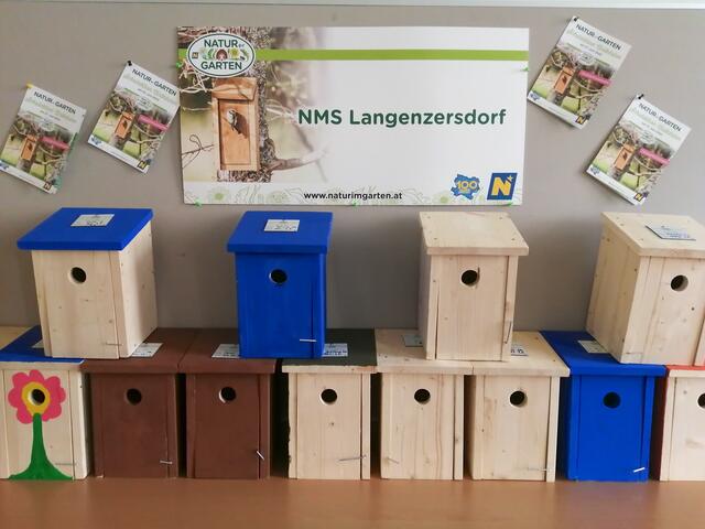 Die Nistkästen aus Langenzersdorf – mittlerweile hängen sie schon an den Bäumen. | Foto: NMS Langenzersdorf