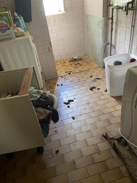 Foto: TiKo_Nina Zesar