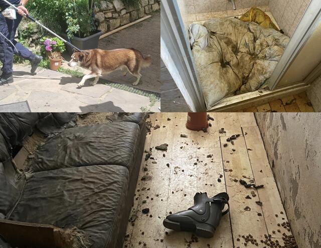 Es sind erschreckende Bilder, die sich den Einsatzkräften boten | Foto: TiKo_Nina Zesar