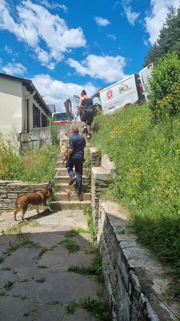 Foto: TiKo_Nina Zesar