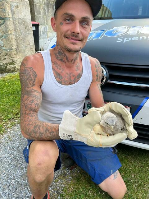 Die Mitarbeiter der Dachdeckerei waren freiwillig im Einsatz, um dem Tier zu helfen ... | Foto: Privat