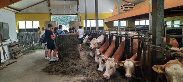 Woher kommt unser Essen, wie wird ein Bio-Bauernhof geführt? Diese und mehr Fragen wurden in Semriach beantwortet. | Foto: Ziegler