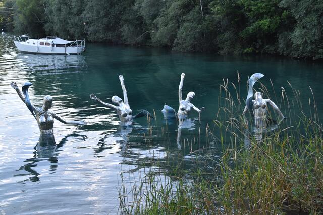 Das Aquaria Quartet in seinem Element. | Foto: Philip Steiner
