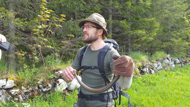 Salzburger Schlangenexperte Werner Krupitz.  | Foto: Haus der Natur
