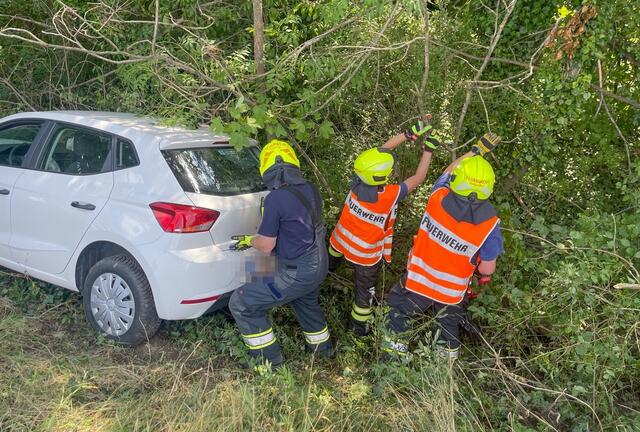 Eine Pkw-Lenkerin landete in Schauboden im Straßengraben. | Foto: Doku NÖ